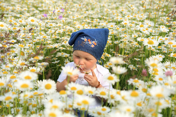 Mała dziewczynka bawi się białymi kwiatkami na kwiecistej łące. - obrazy, fototapety, plakaty