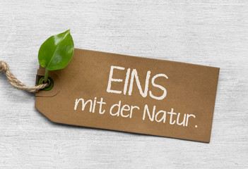 EINS mit der Natur. Natürliche Plakette mit jungem Blatt