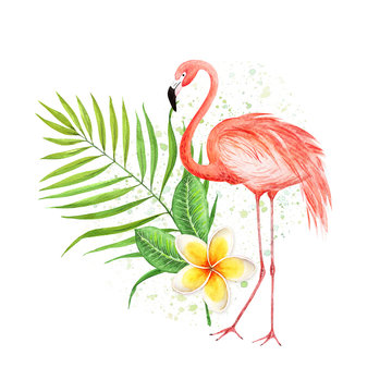 watercolor drawing of pink flamingos with tropical plants