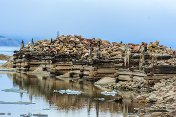 Baikal, Olkhon. Remains of the pier of the fish factory at the Peschanoye tract
