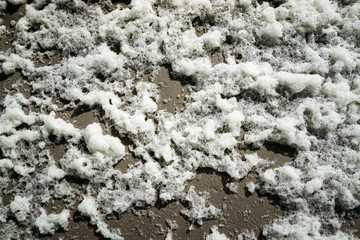 Foam on beach