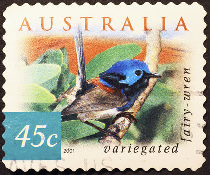 Variegated fairy-wren on australian postage stamp