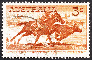 Australian vintage postage stamp on cattle industry