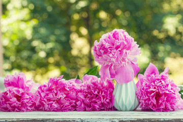 Beautiful pale pink peonies bouquet in white vase over nature green background.
