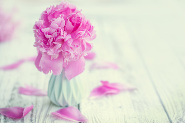 Beautiful pale pink peonies bouquet in vase over white table background.
