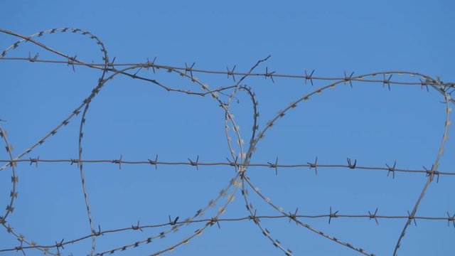 Barbed wire fence of restricted area, the boundary. illegal immigration concept lifestyle
