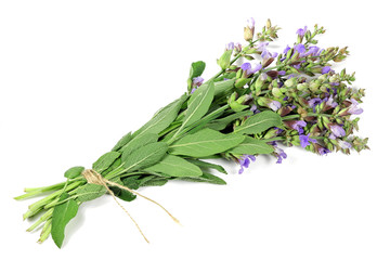 Fototapeta premium bunch of sage isolated on white background