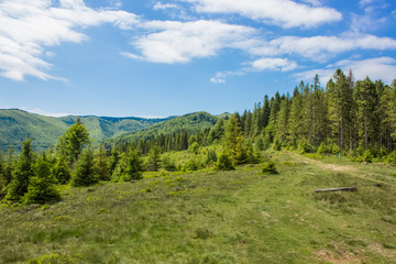 Fototapeta na wymiar green mountain ridge nature landscape