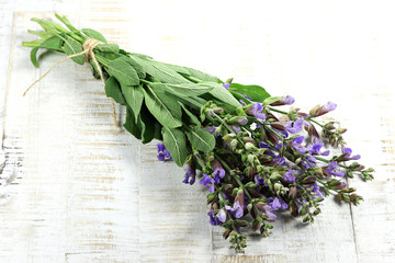 bunch of sage on wooden background