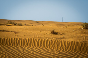 Desert - colourful patterns & sky is visible behind