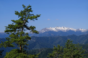 Gruzja, Park Narodowy Borjomi – Kharagauli - górski krajobraz © Iwona