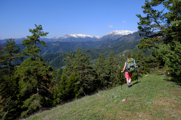 Gruzja, Park Narodowy Borjomi – Kharagauli - górski krajobraz z trystką © Iwona