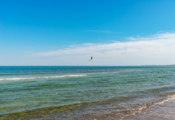 Ostsee im Sommer, Darß