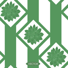 Seamless pattern. Echeveria plant with green strips. Vector illustration
