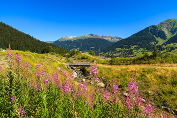 Fototapeta premium Swiss mountain valley landscape