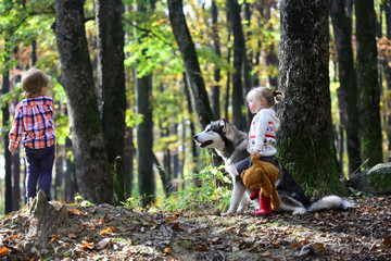 Children and husky on background autumn forest