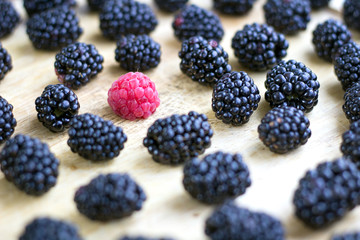 Tasty juicy berries set of many blackberries and lonely raspberry