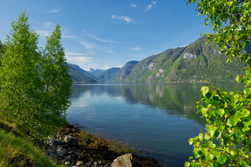 Fototapete bei efototapeten.de bestellen   