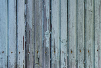 The wall of an old wooden house, peeling blue paint, nails