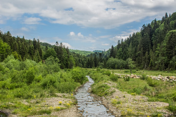 river stream on nature mountain landscape