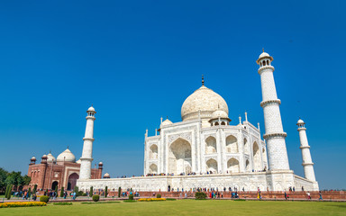 Fototapeta na wymiar The Taj Mahal, the most famous monument of India. Agra - Uttar Pradesh