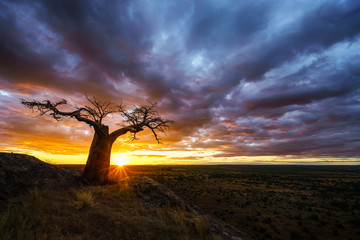 One of those African Sunsets