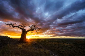 Zelfklevend Fotobehang One of those African Sunsets © Magnus