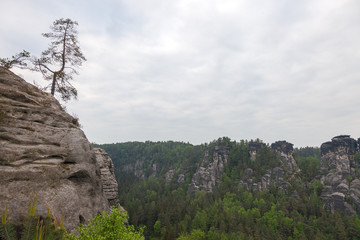 Saxon Switzerland National Park.  Is a National Park in the German Free State of Saxony, near the Saxon capital Dresden.