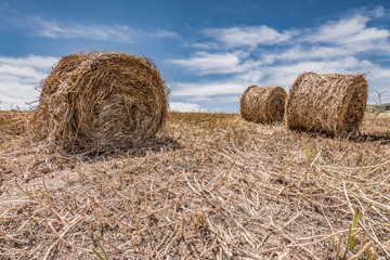 Campo di balle di fieno, Sicilia	