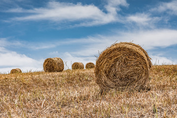 Campo di balle di fieno, Sicilia	