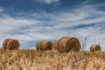 Campo di balle di fieno, Sicilia	