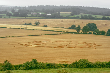 Obraz premium Crop circle appeared on the field - unbeliev