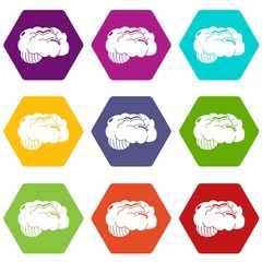 Brain icons 9 set coloful isolated on white for web