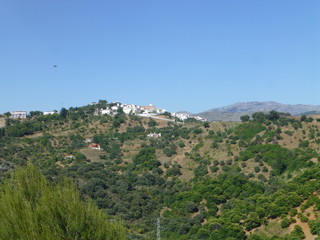 Fototapeta na wymiar Cartajima,pueblo blanco de Málaga, Andalucía (España) en la sierra de Ronda