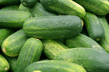 Cucumbers 1