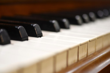 Wurlitzer Piano Keys - Powered by Adobe