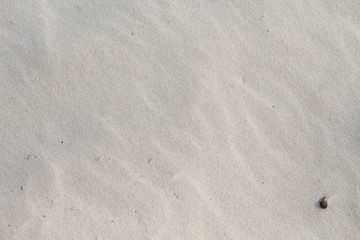 Fototapeta na wymiar White sand photo background. Tropical coral sand beach texture. Paradise seaside backdrop.