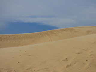 Sand dunes at Ingleses beach against blue sky - Florianopolis, Brazil