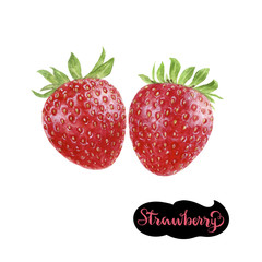 strawberry watercolor illustration