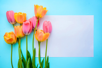 Bouquet of pink and orange tulips and a piece of paper on a blue background