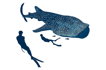 tiburon ballena © fergomez