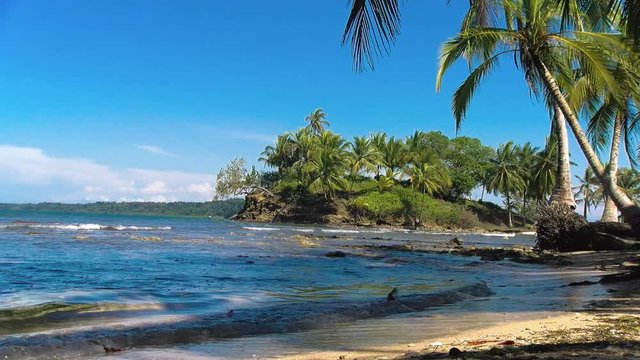 Idyllic Caribbean white virgin beach with palm trees on the water.  Unspoiled island with pristine crystal waters. Carenero virgin beaches in Bocas del Toro islands in the Isla Bastimentos in Panama.