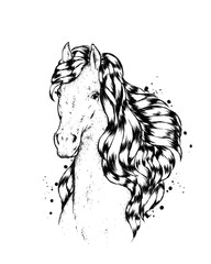 A beautiful horse. Vector illustration.
