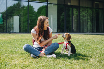 Happy young brunette woman sitting with cute little beagle puppy on the green grass lawn outdoors. Beautiful girl playing with beagle dog