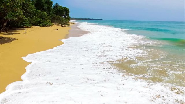 Caribbean golden unspoiled sandy beach aerial drone view.  Flying along the coastline with palm trees next to the crystal tropical waters. Bluff beach in Bocas del Toro islands in the Isla Bastimentos