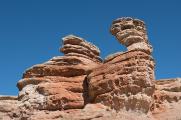 Condor head in stone formation