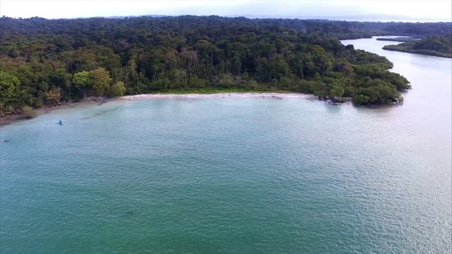 Idyllic Caribbean white virgin beach with palm trees on the water.  Unspoiled island with pristine crystal waters. Isla Popa virgin beaches in Bocas del Toro islands in the Isla Bastimentos in Panama.