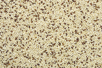 The grain quinoa background