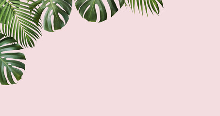 Tropical leaves monstera and yellow palm on pink background with copy space © ArtBackground