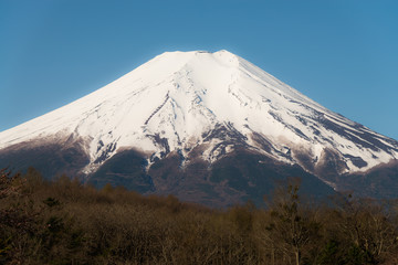 Fototapeta premium 富士山